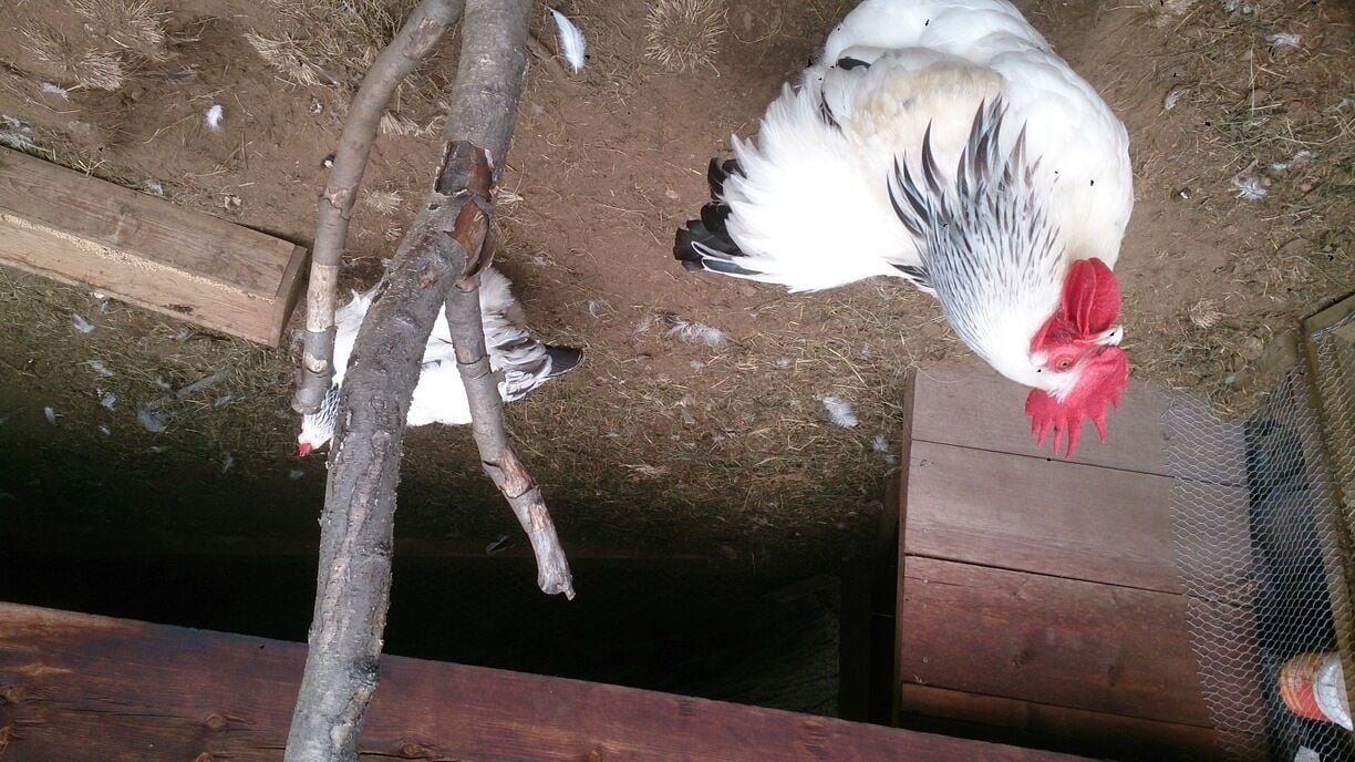 Old farm on mountain 