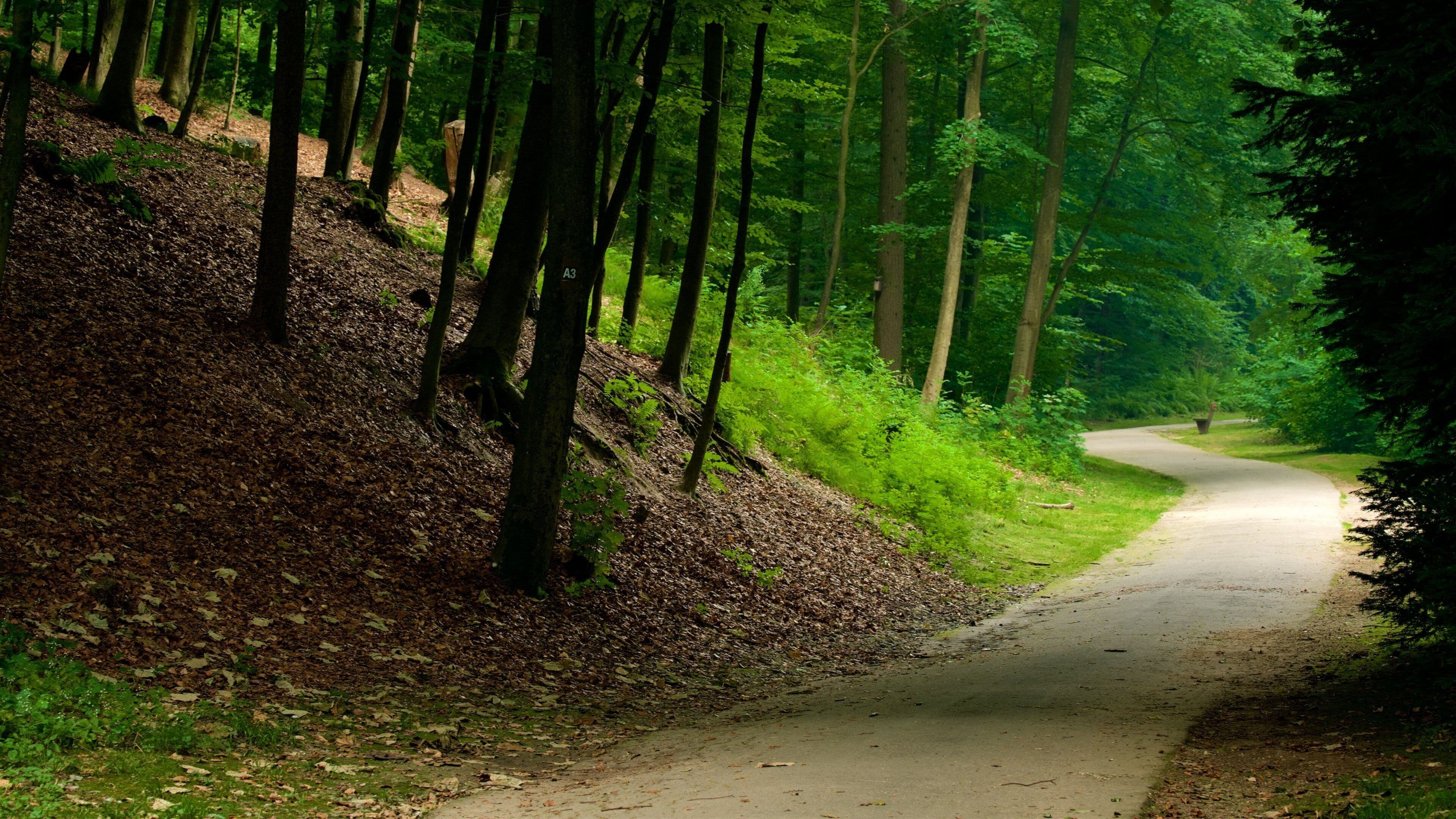 Duesseldorf Grafenberg Wildlife Park