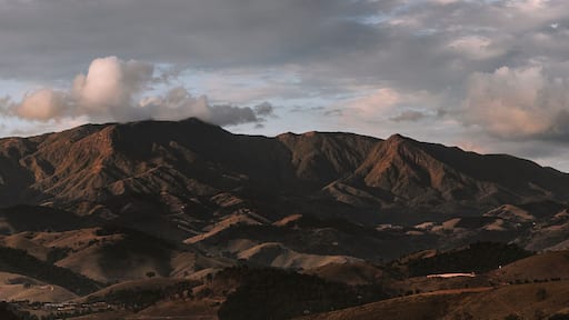 باسا كواترو