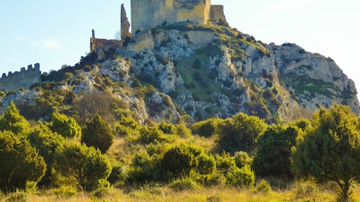 Ruins of the castle of Roquemartine also called castle of Queen Jeanne near Eyguieres in the Alpilles in Provence in France