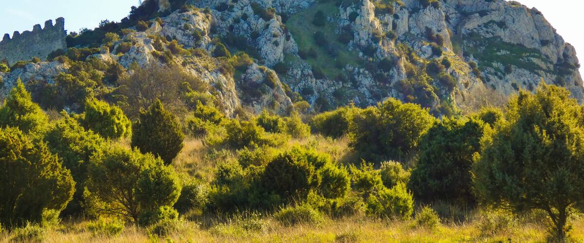 A historic castle atop a rocky hill with lush greenery in the foreground.
