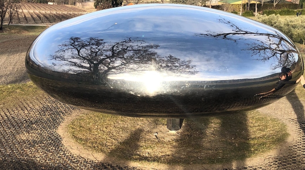 In Provence discover this place with very good wine and amazing view and original site to visit