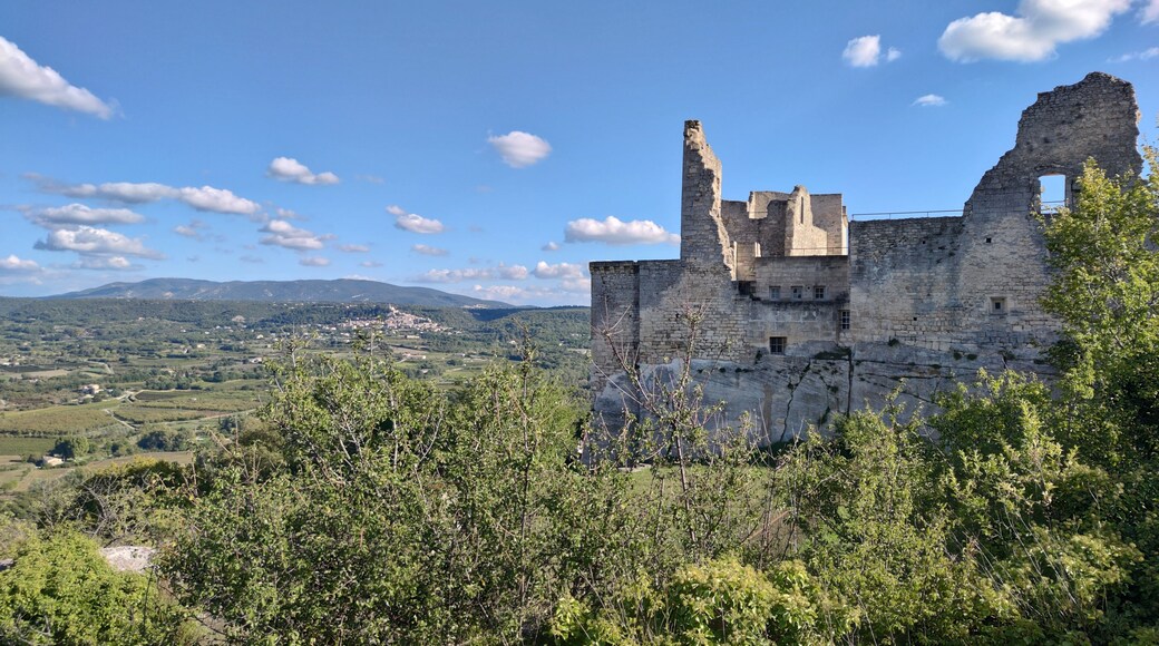 Le Puy-Sainte-Reparade
