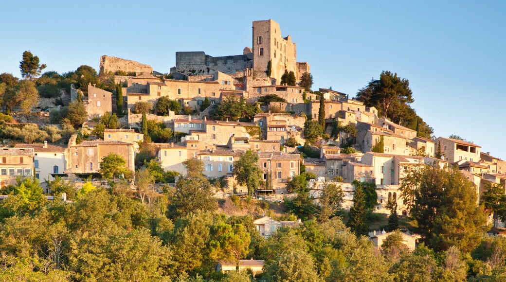 Le Puy-Sainte-Reparade