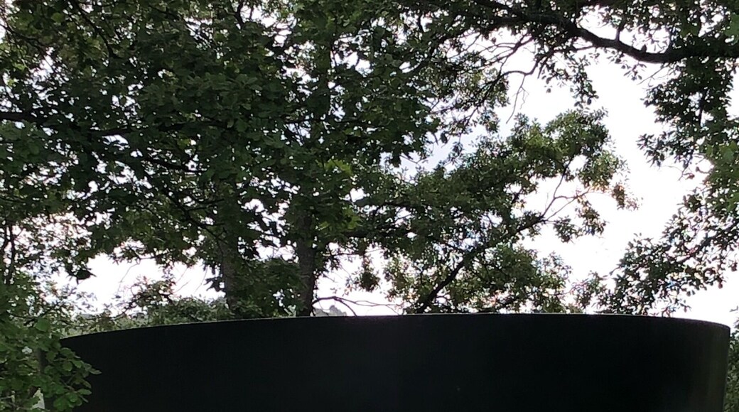 Discover art in this place during 2 hours and try the famous good red wine