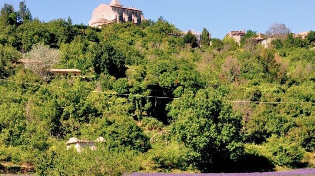 Saignon is one of many beautiful perched villages in the beautiful hills of the Luberon, among fields full of sunflowers and lavender (and ancient stone bories - round shepherds' huts).