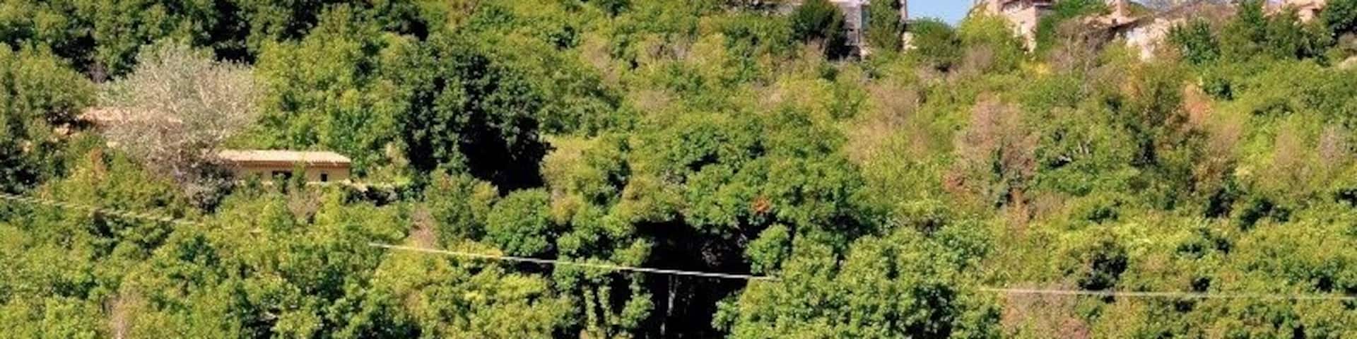 Saignon is one of many beautiful perched villages in the beautiful hills of the Luberon, among fields full of sunflowers and lavender (and ancient stone bories - round shepherds' huts).