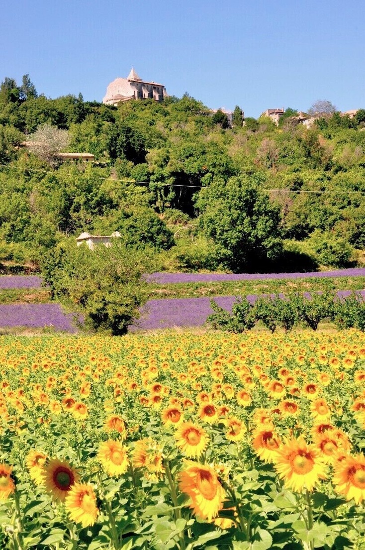 Saignon is one of many beautiful perched villages in the beautiful hills of the Luberon, among fields full of sunflowers and lavender (and ancient stone bories - round shepherds' huts).