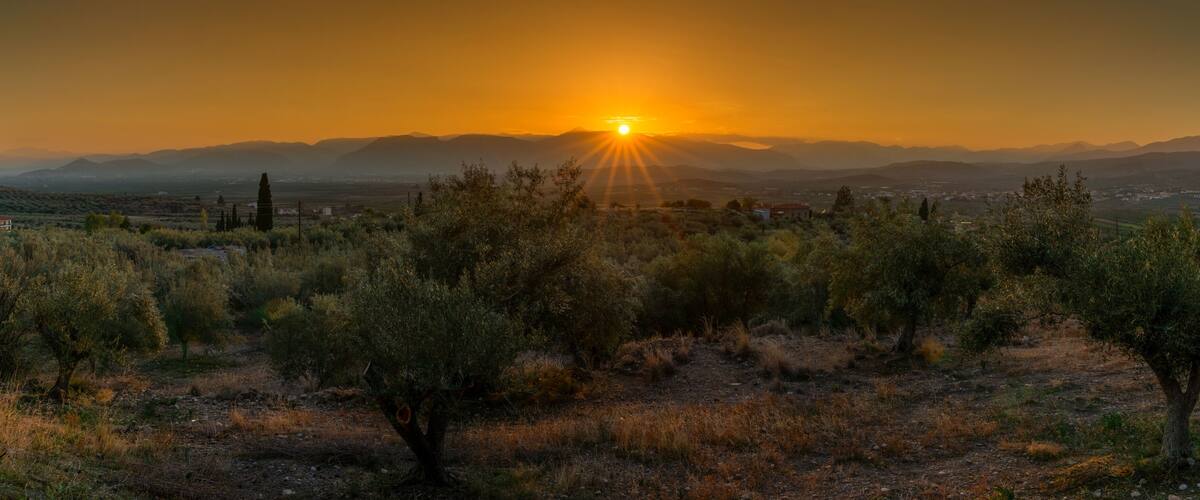A sunset over a mountainous landscape with sparse vegetation and a clear sky.