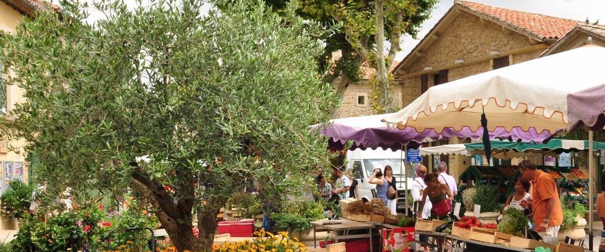 Un marché animé en plein air, avec des caisses en bois, une grande variété de produits frais et un arbre aux fleurs oranges.