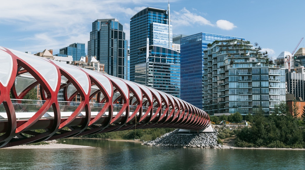 Peace Bridge showing a city, a river or creek and a bridge