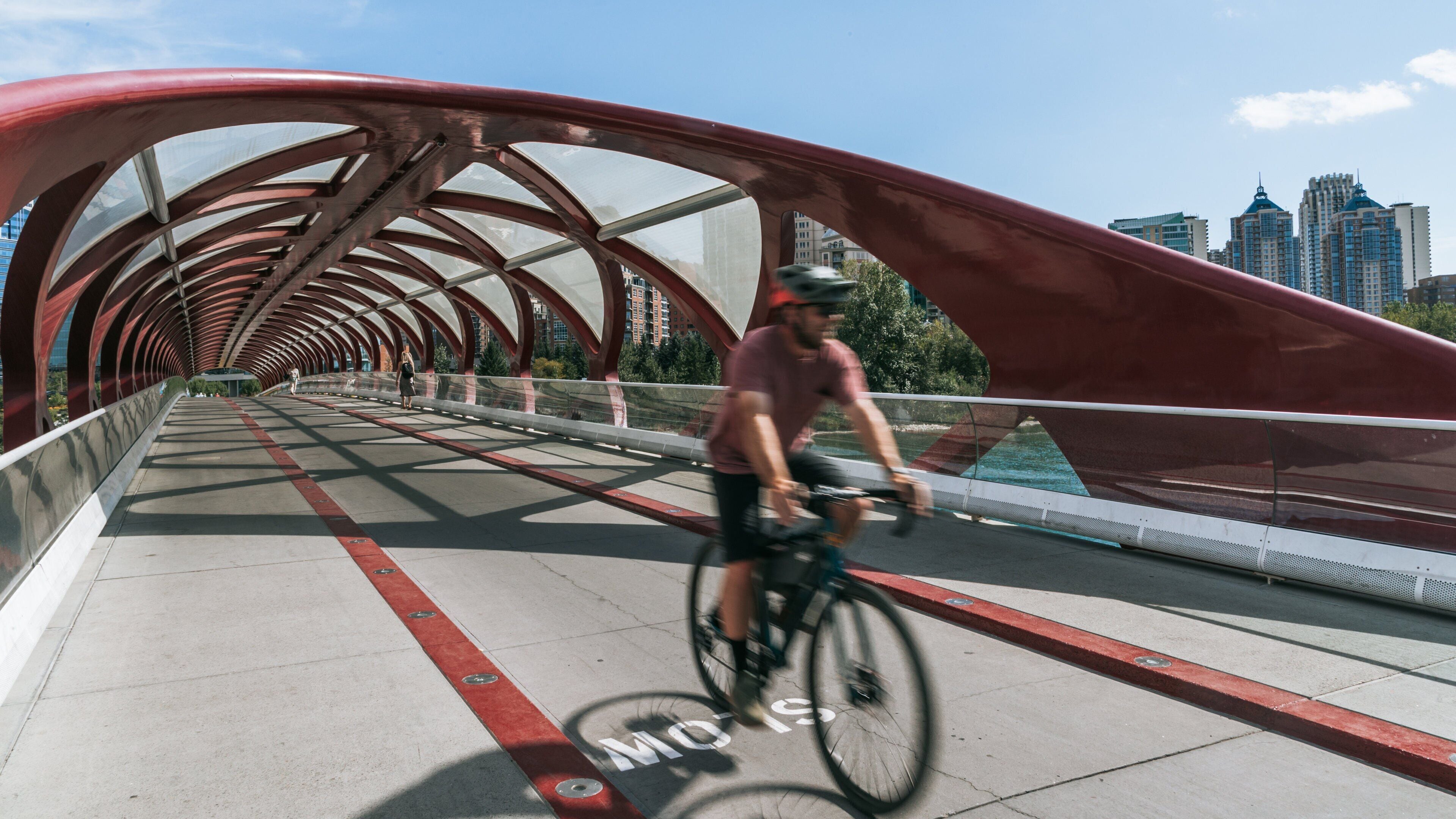 Peace Bridge featuring cycling and a bridge as well as an individual male