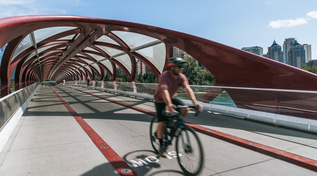 Peace Bridge featuring cycling and a bridge as well as an individual male