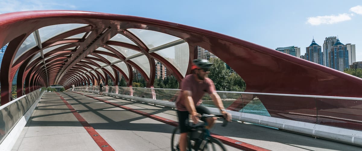 Peace Bridge featuring cycling and a bridge as well as an individual male