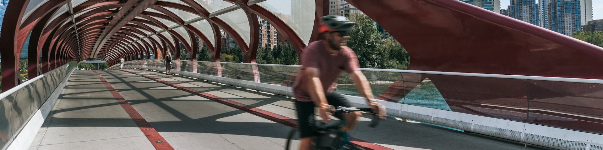 Peace Bridge featuring cycling and a bridge as well as an individual male