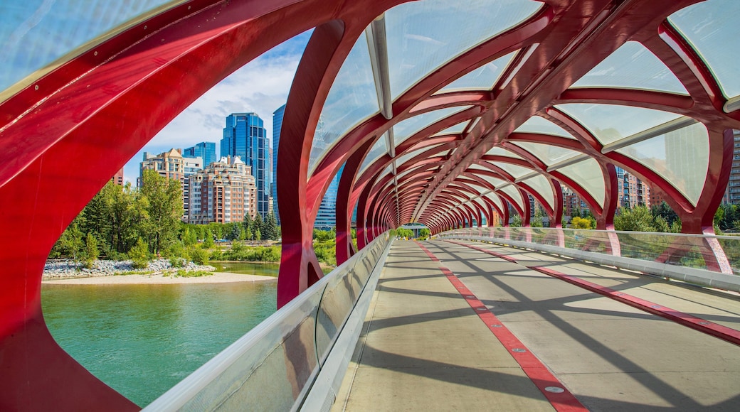 Peace Bridge featuring a bridge