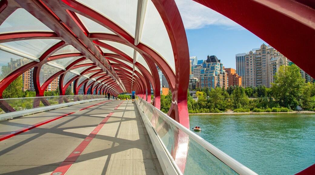 Peace Bridge showing a river or creek and a bridge