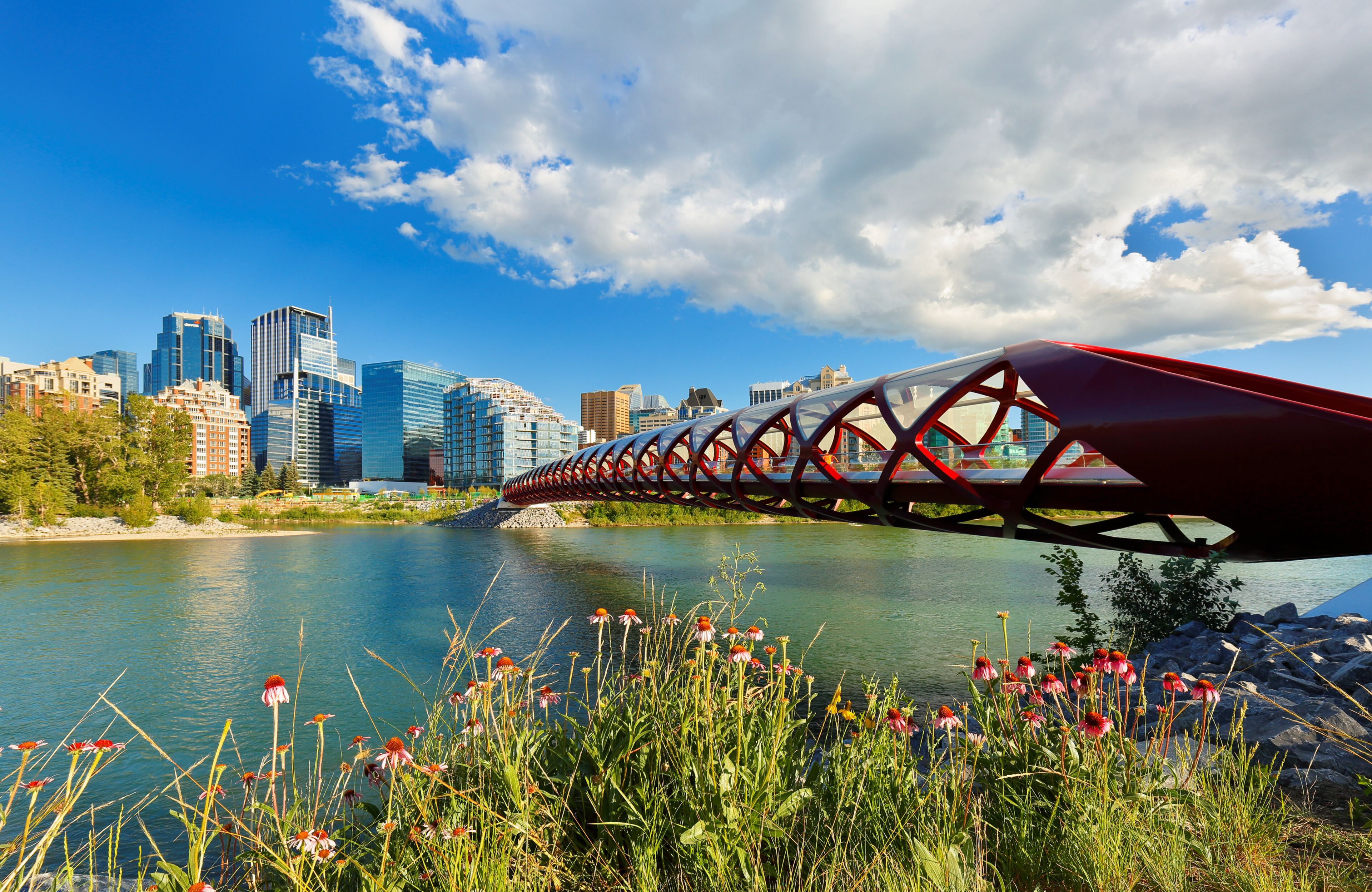 View of Peace Bridge at Calgary AB Canada on a sunny afternoon. Peace Bridge is a pedestrian bridge.