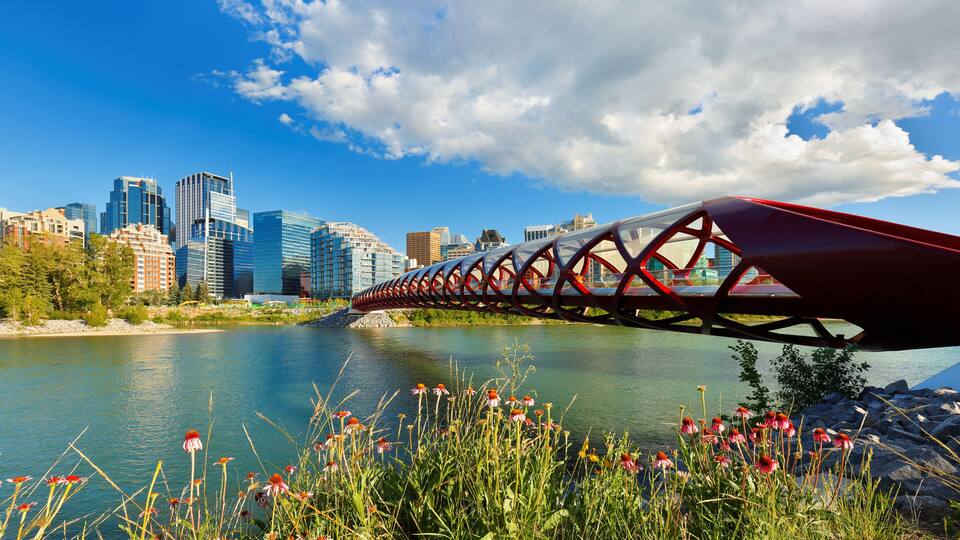 View of Peace Bridge at Calgary AB Canada on a sunny afternoon. Peace Bridge is a pedestrian bridge.