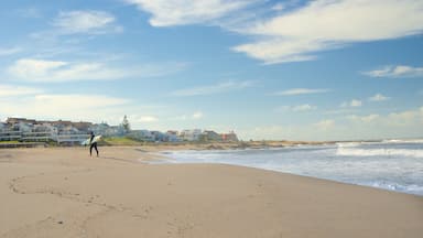 Bikini Beach showing a sandy beach