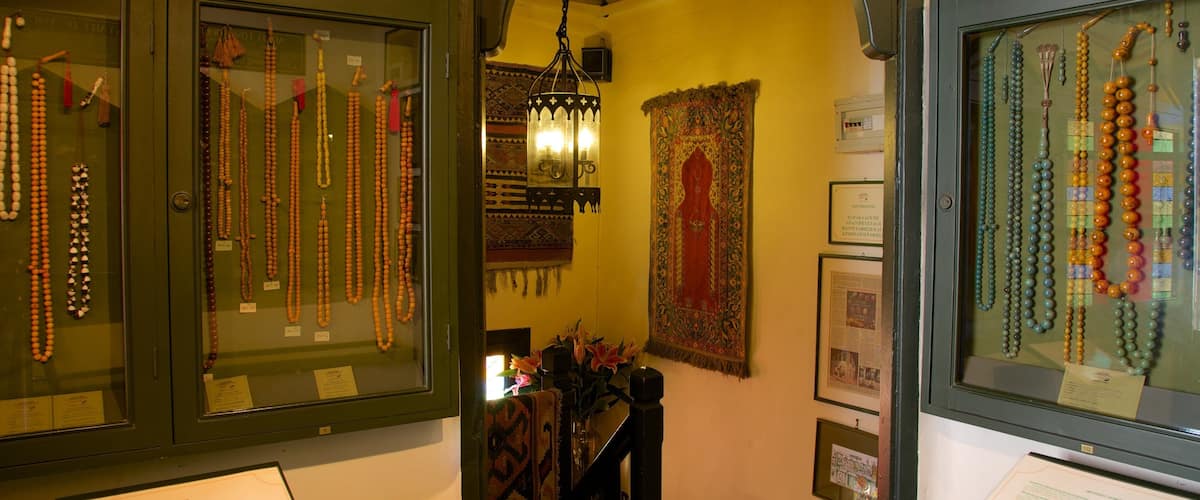 ์ฝค๋ณผ๋ก์ด ๋ฐ๋ฌผ๊ด ์ ๋ณด์ฌ์ฃผ๋ ์ค๋ด ์ ๊ฒฝ