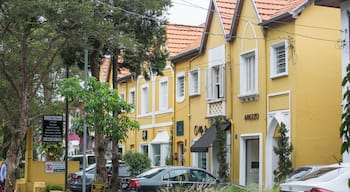 EyeEm Custom Shoots Q4 2018