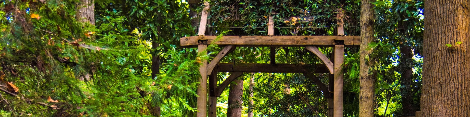 Hatcher Garden and Woodland Preserve in Spartanburg South Carolina SC