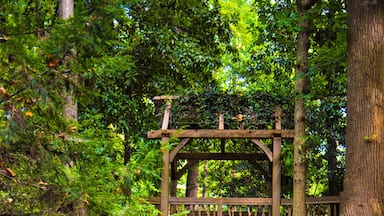 Hatcher Garden and Woodland Preserve in Spartanburg South Carolina SC