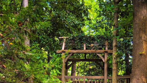 Hatcher Garden and Woodland Preserve in Spartanburg South Carolina SC