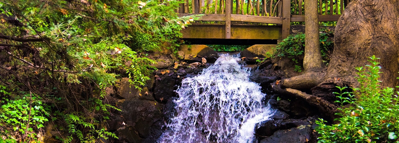 Hatcher Garden and Woodland Preserve in Spartanburg South Carolina SC