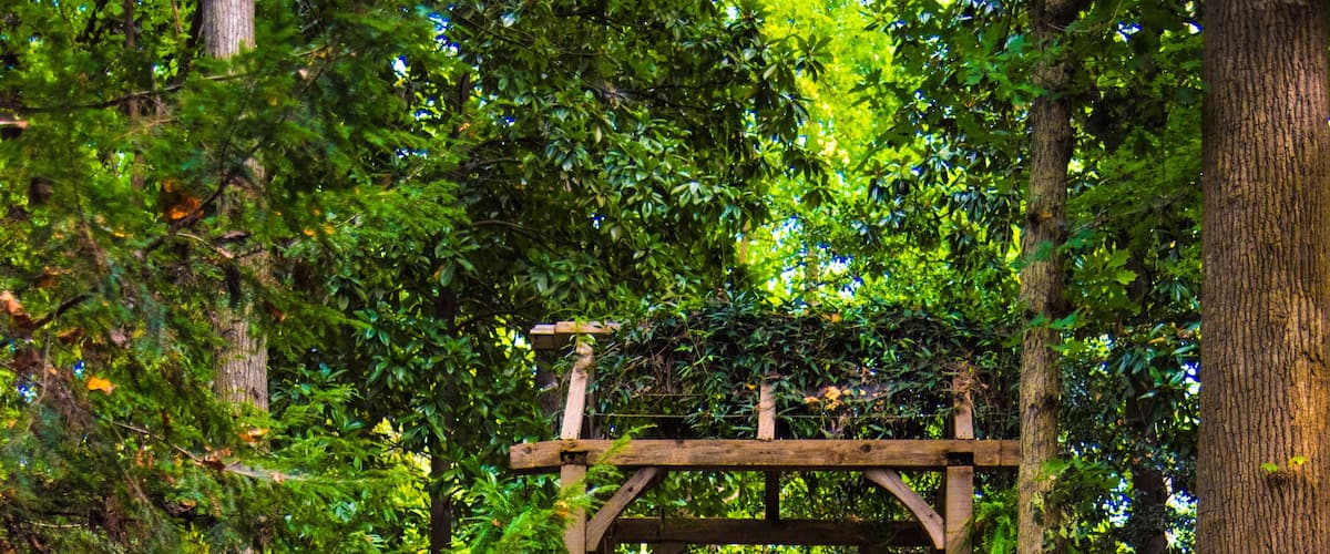 A wooden bridge over a waterfall surrounded by lush greenery.