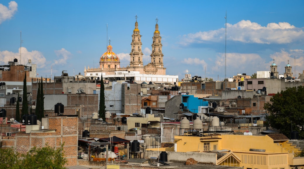San Juan de los lagos, Jalisco, México