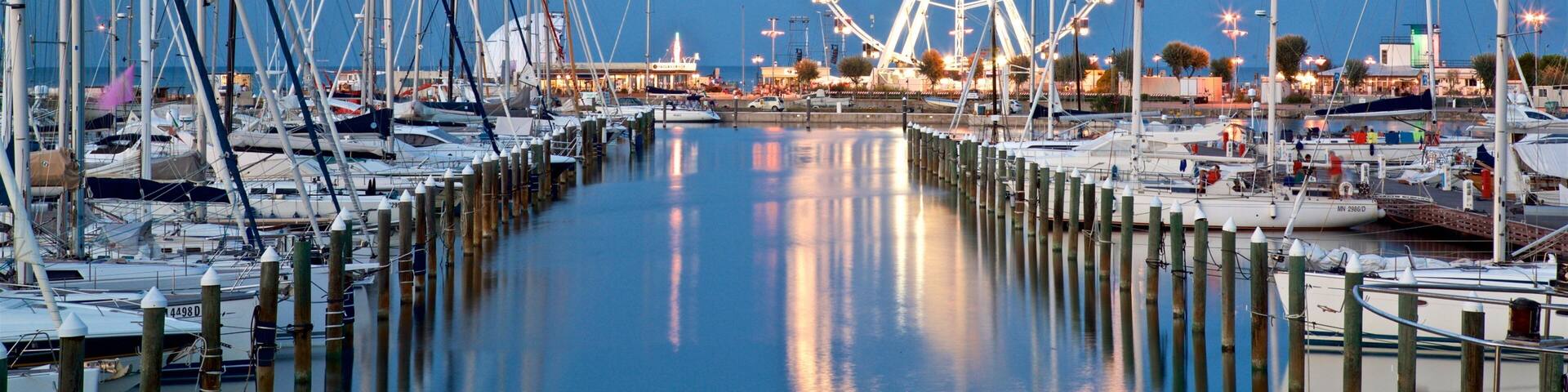 Rimini Marina showing a bay or harbor