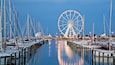 Rimini Marina showing a bay or harbor