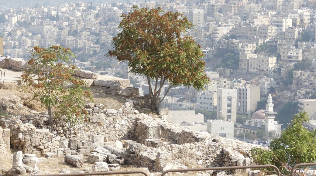 View from Citadel to Old Amman
