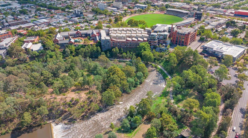 Aerial view of a river and waterfall bordered by city buildings along side and bush