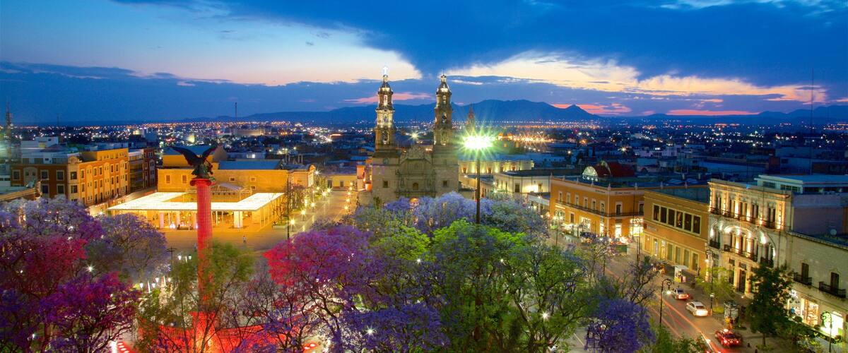 Nuestra Señora de la Asunción Cathedral Basílica mit einem Garten, Monument und bei Nacht