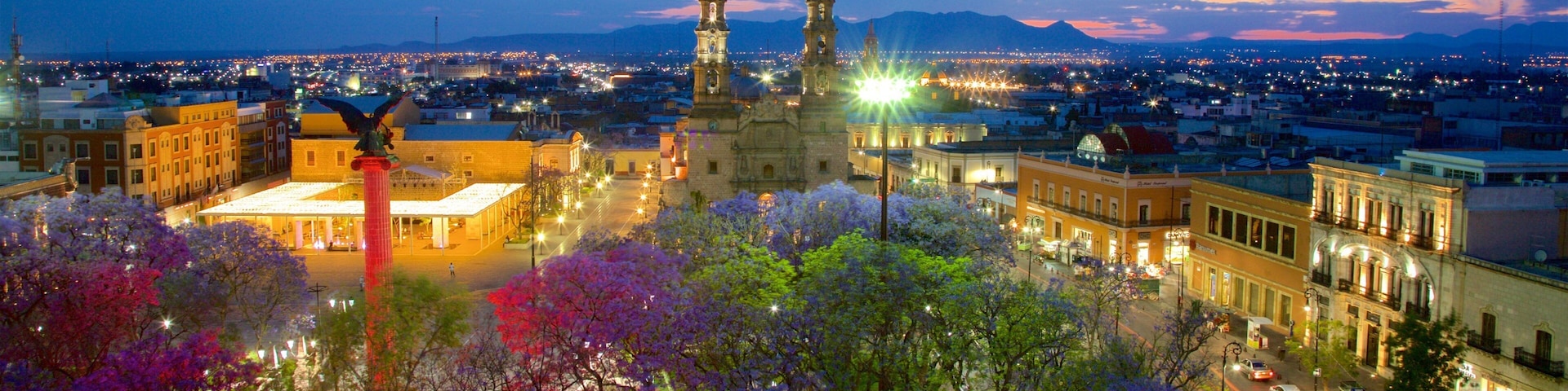 Nuestra Senora de la Asuncion Cathedral Basilica