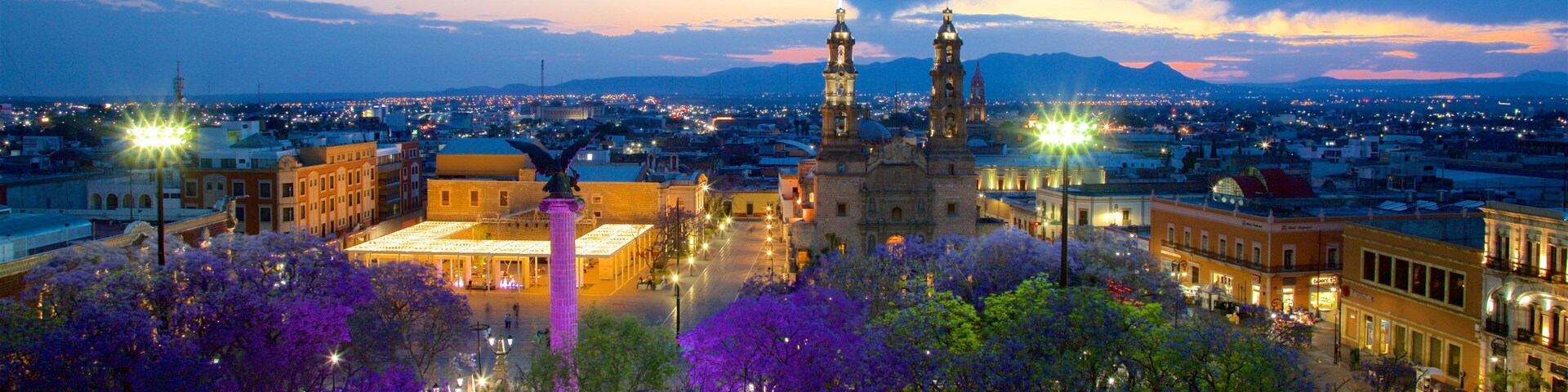 Catedral BasĂlica de Nuestra Señora de la AsunciĂłn qui includes scĂšnes de nuit, monument et parc