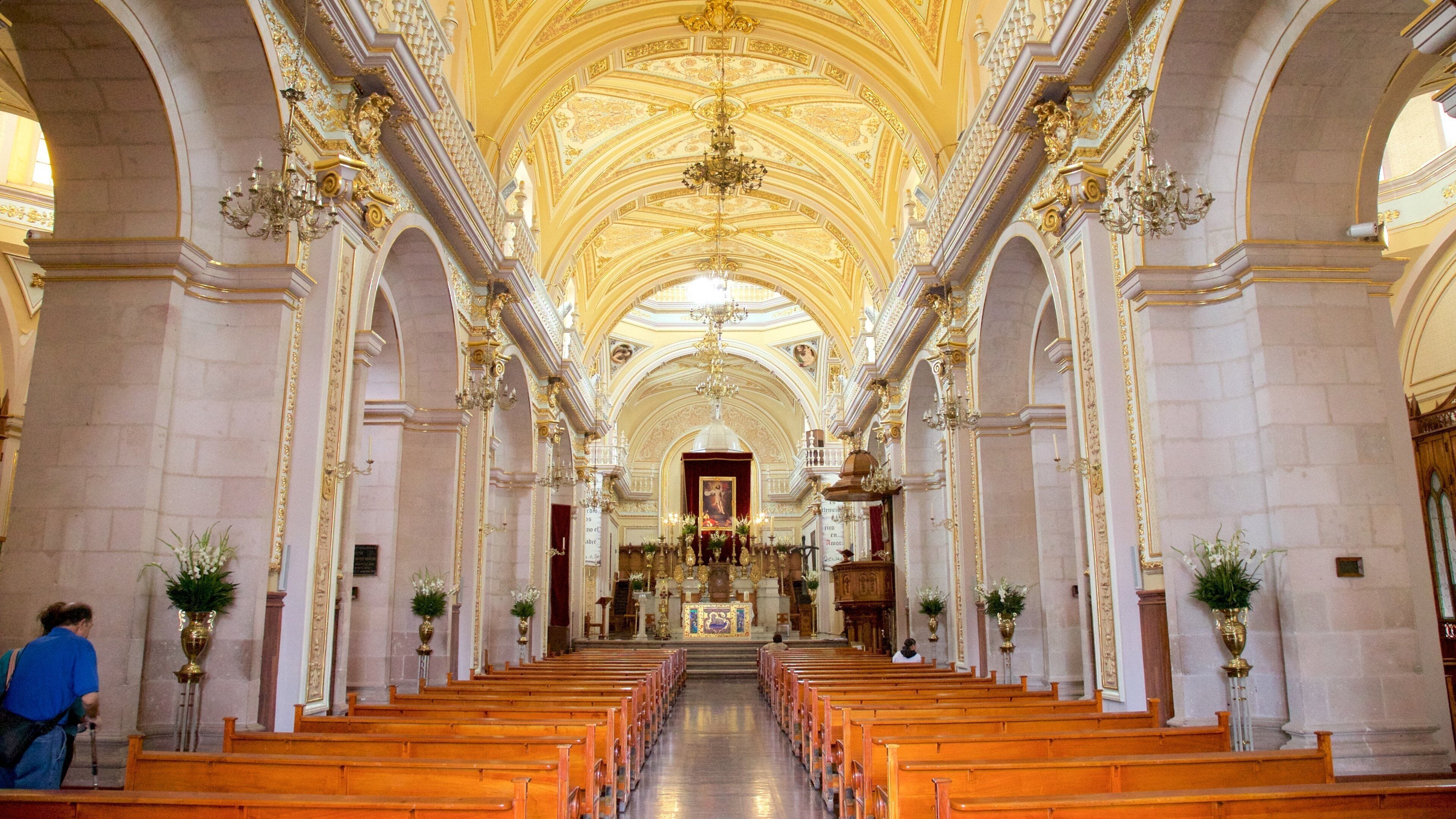 Nuestra Senora de la Asuncion Cathedral Basilica showing interior views, heritage architecture and a church or cathedral