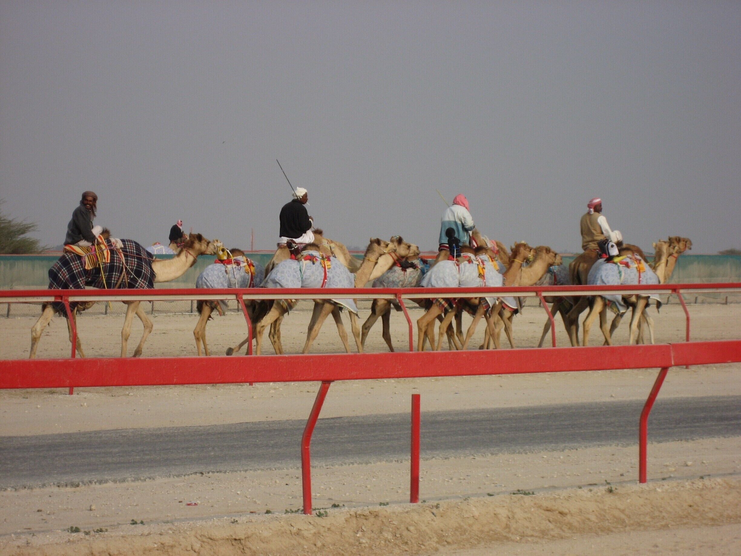 In 2006, the camel training / racing facilities were on the edge of town.  Not sure if they are in the same place, as the town has spread a lot in the last 10 years.  We were able to just wander up and watch the training sessions and the trainers were all friendly.