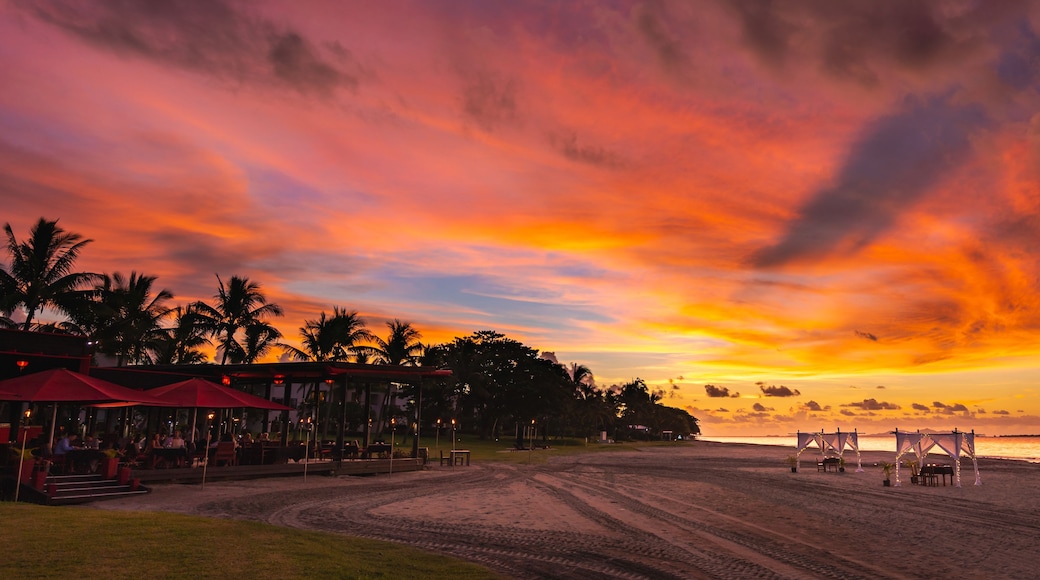A beach at sunset with palm trees, a restaurant, and a decorated canopy.