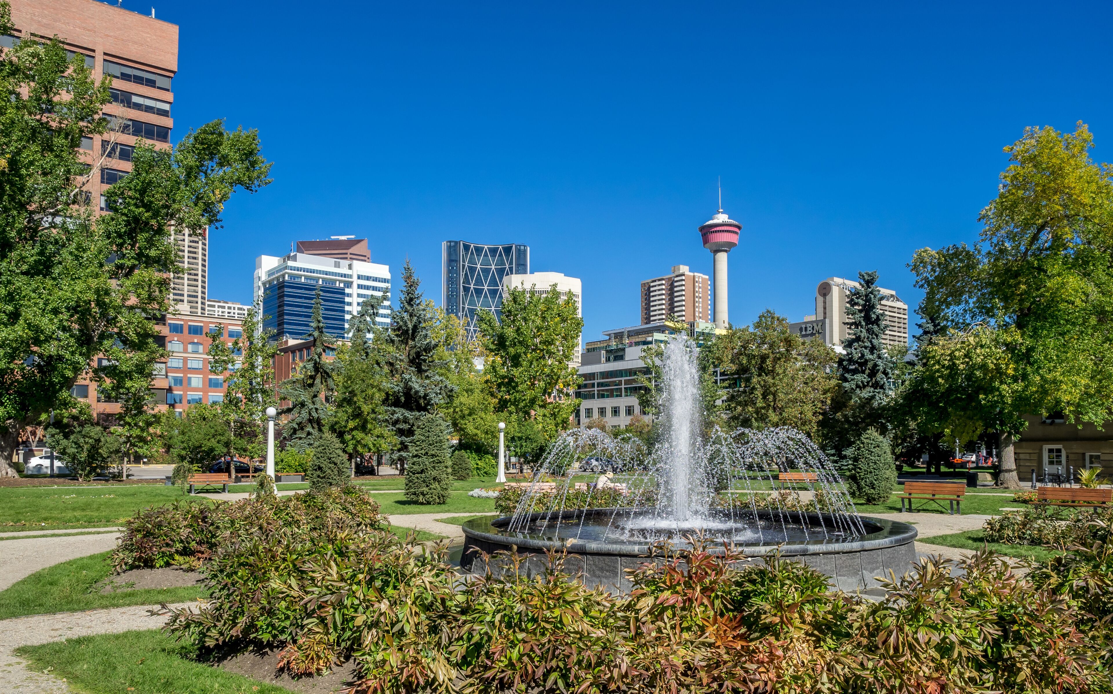 Memorial Park in Calgary