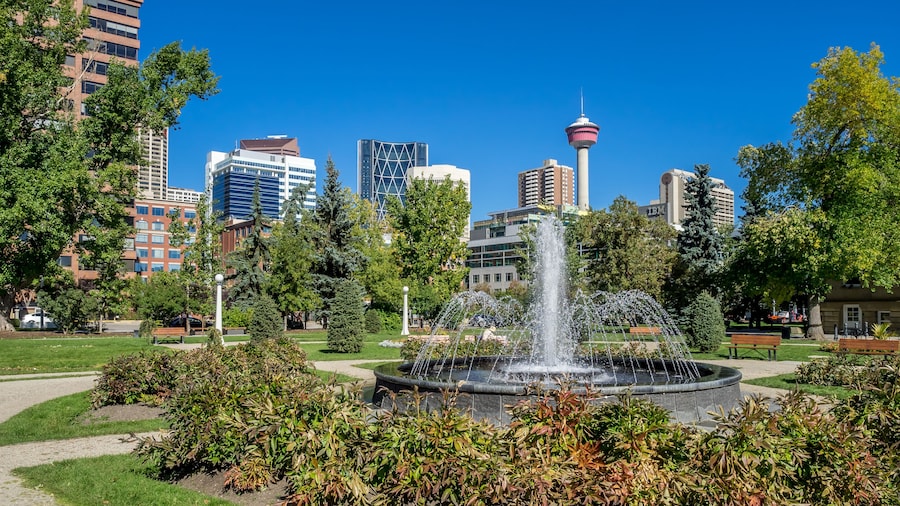 Memorial Park in Calgary