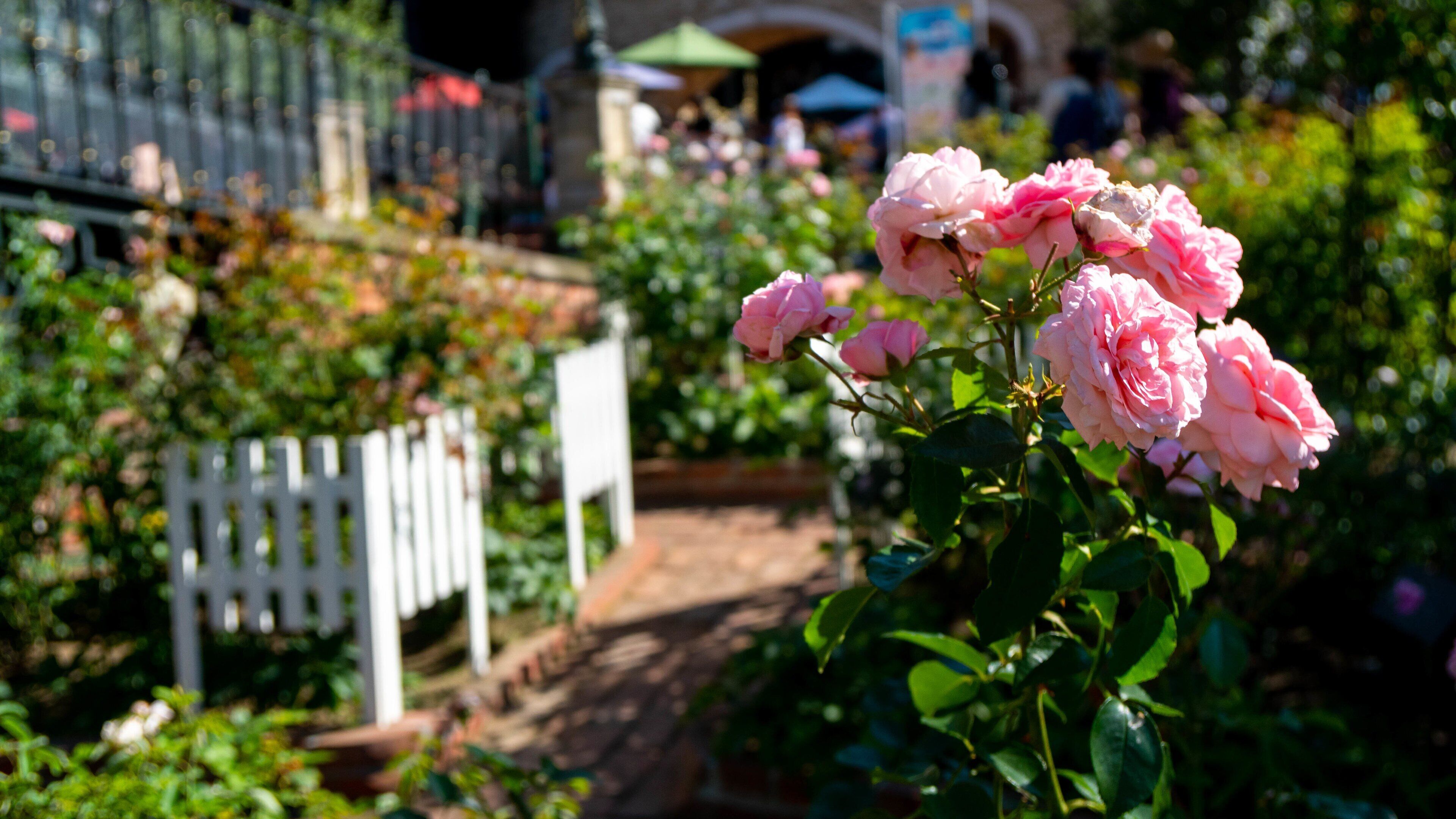 Shiroi Koibito Park Vacation Packages - Expedia