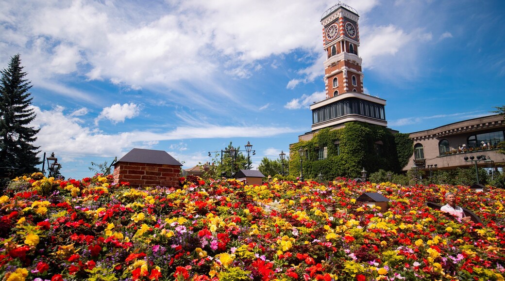 Shiroi Koibito Park featuring a garden, flowers and wildflowers