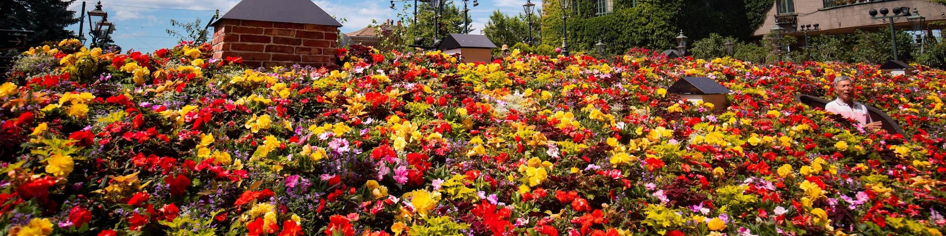 Shiroi Koibito Park featuring a garden, flowers and wildflowers