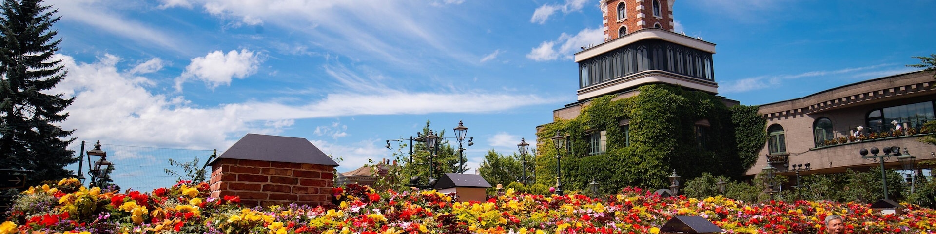 Shiroi Koibito Park featuring a garden, flowers and wildflowers
