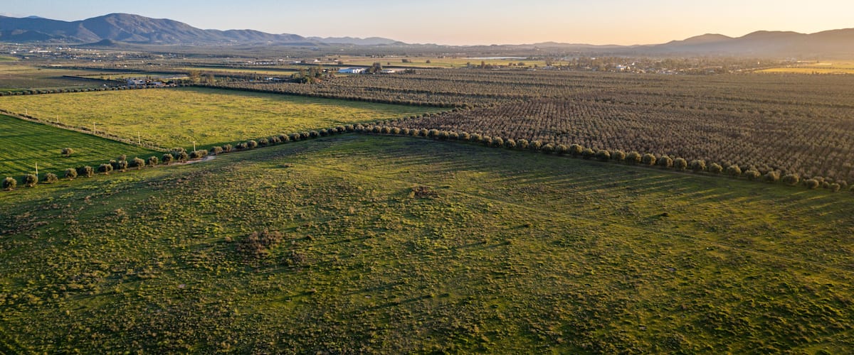 A vast agricultural field with rows of crops, a distant town, and mountains in the background.