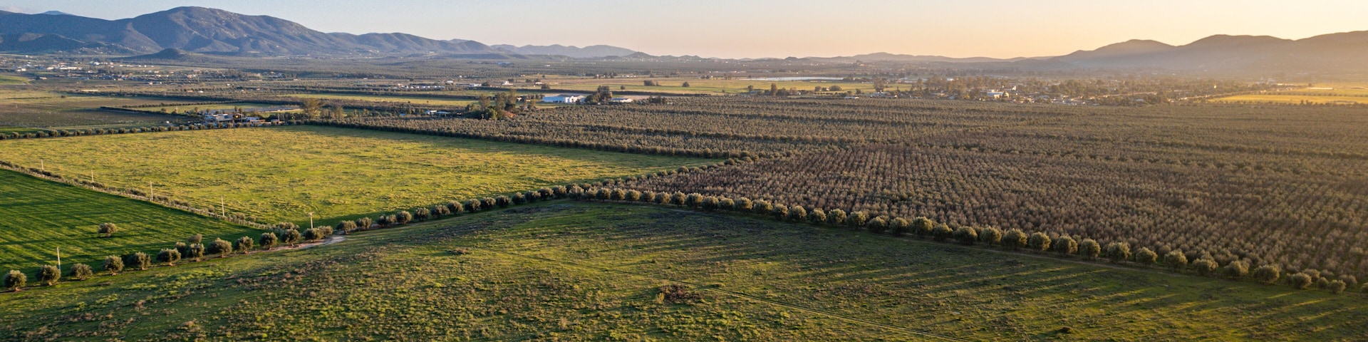 A vast agricultural field with rows of crops, a distant town, and mountains in the background.